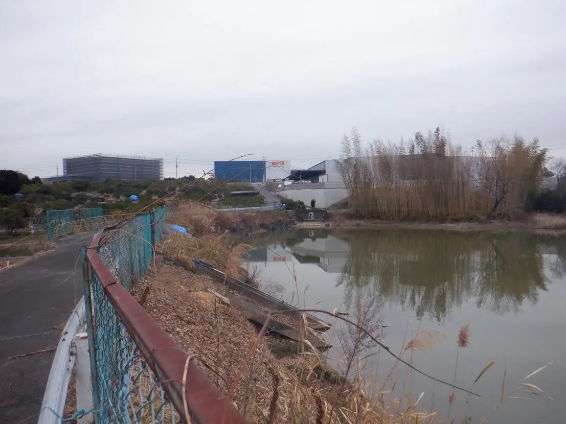 東海市にある高木を伐採しました🌳✨。