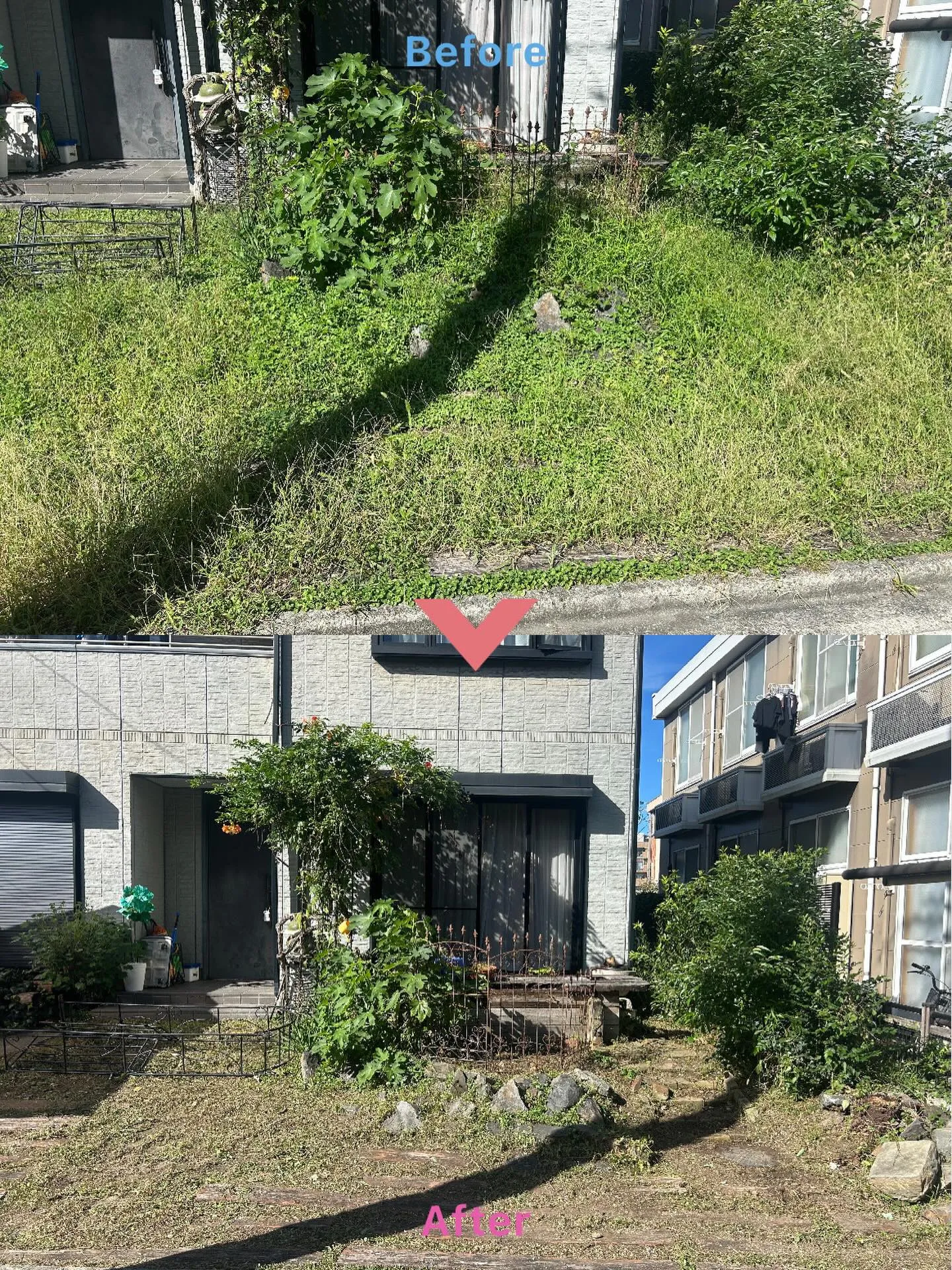 私たちは、あなたの庭を心をこめてケアする造園専門業者です。