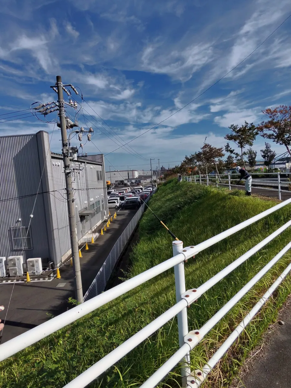 本日は、東海市の斜面での草刈り作業を無事に終えました。